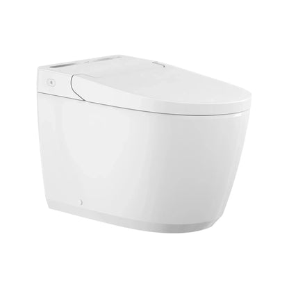 Grohe Sensia Electronic Bidet Toilet