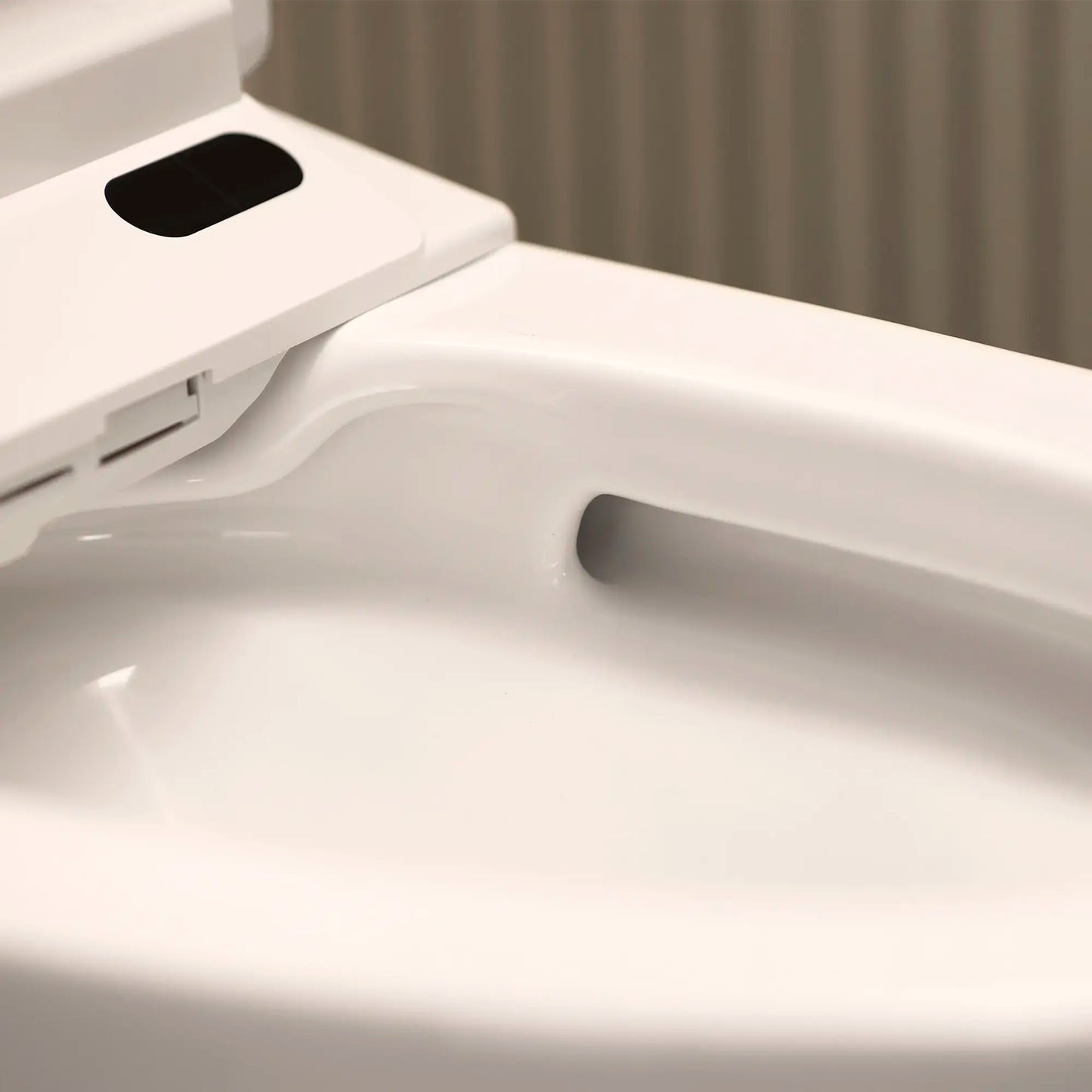 Grohe Sensia Electronic Bidet Toilet