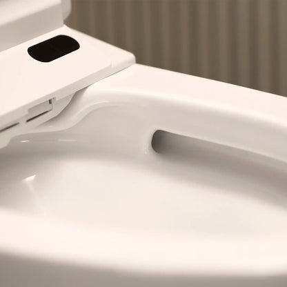 Grohe Sensia Electronic Bidet Toilet