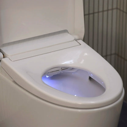 Grohe Sensia Electronic Bidet Toilet