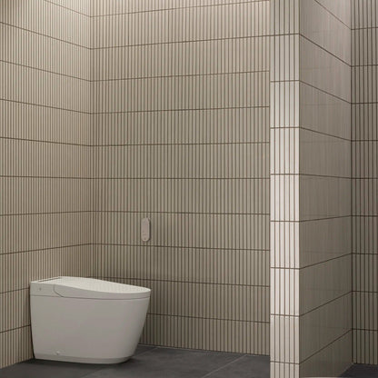 Grohe Sensia Electronic Bidet Toilet