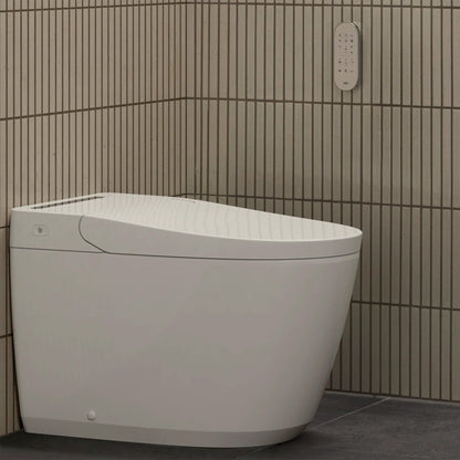 Grohe Sensia Electronic Bidet Toilet